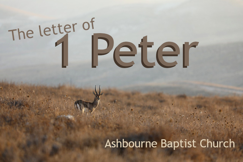 1 Peter sermon series by Nathan Clarke