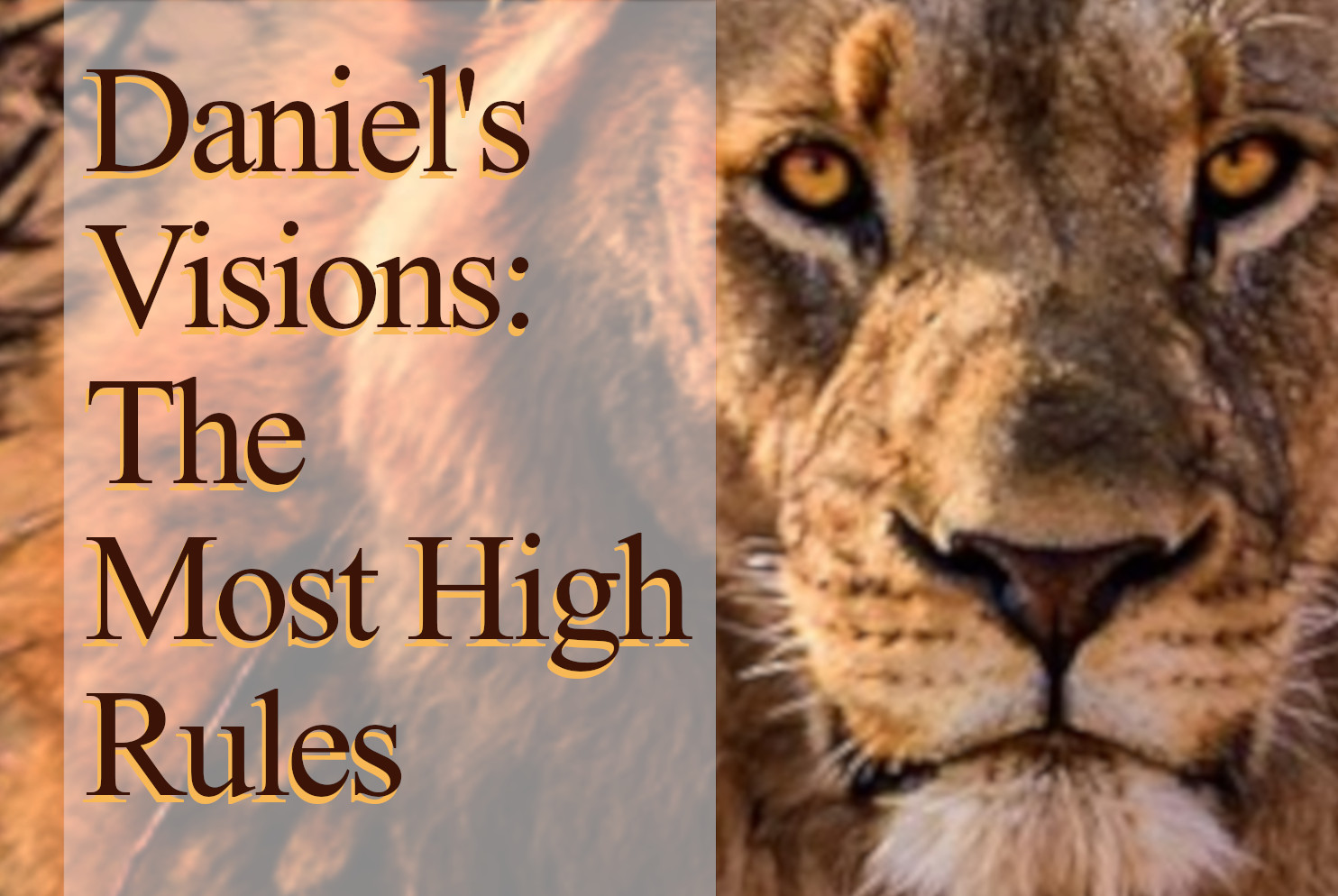 Daniel's Visions: The  Most High Rules series
