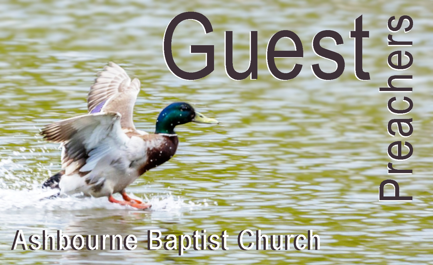 Guest sermon series at Ashbourne Baptist Church