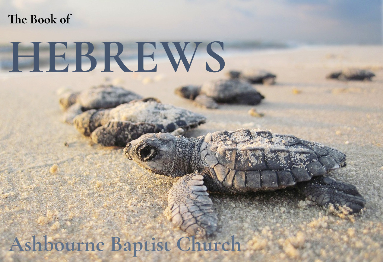 Hebrews Sermon Series Cover