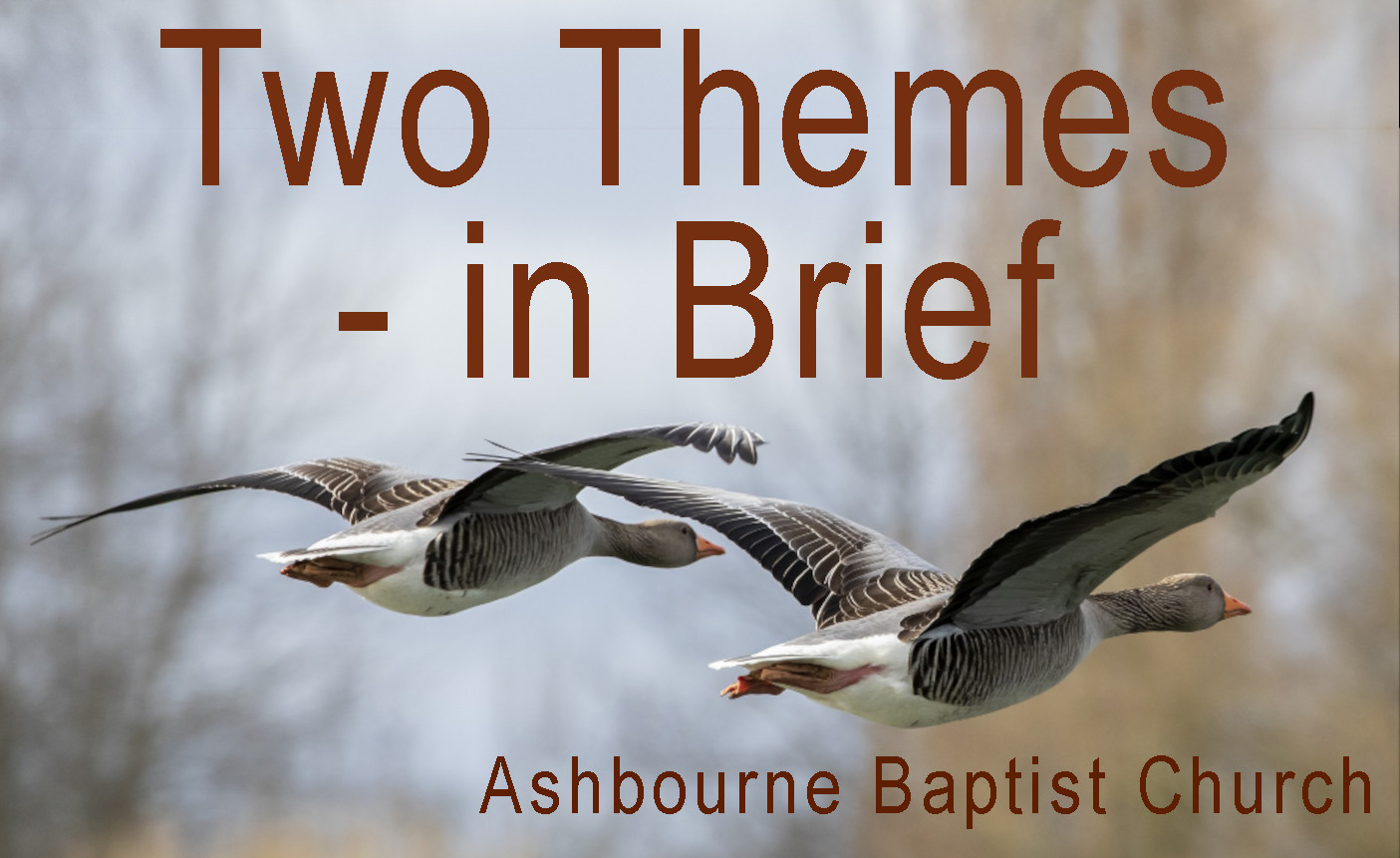 Listen to Audio Sermons in the 'Two Themes In Brief' Sermon Series